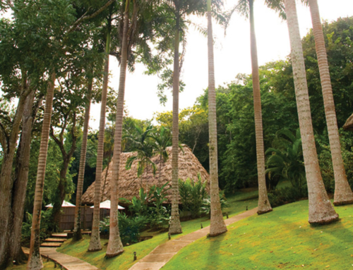 Chaa Creek – 4th Night Free from $994 or $150 Resort Credit – San Ignacio