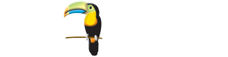 Elegant Adventures Logo