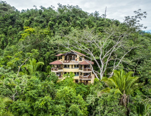 Sleeping Giant Rainforest Lodge – 3 Night Specials from $899 – Belmopan