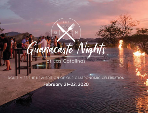 Guanacaste Nights-February 21st, 4pm-10pm